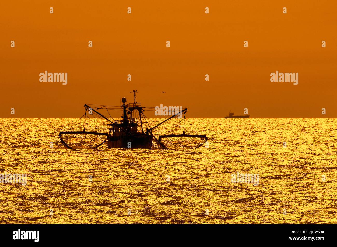 Chalutier de fond, bateau de pêche naviguant le long de la côte de la mer du Nord silhoueté contre le coucher de soleil orange en face de Nieuwpoort / Nieuport, Flandre, Belgique Banque D'Images
