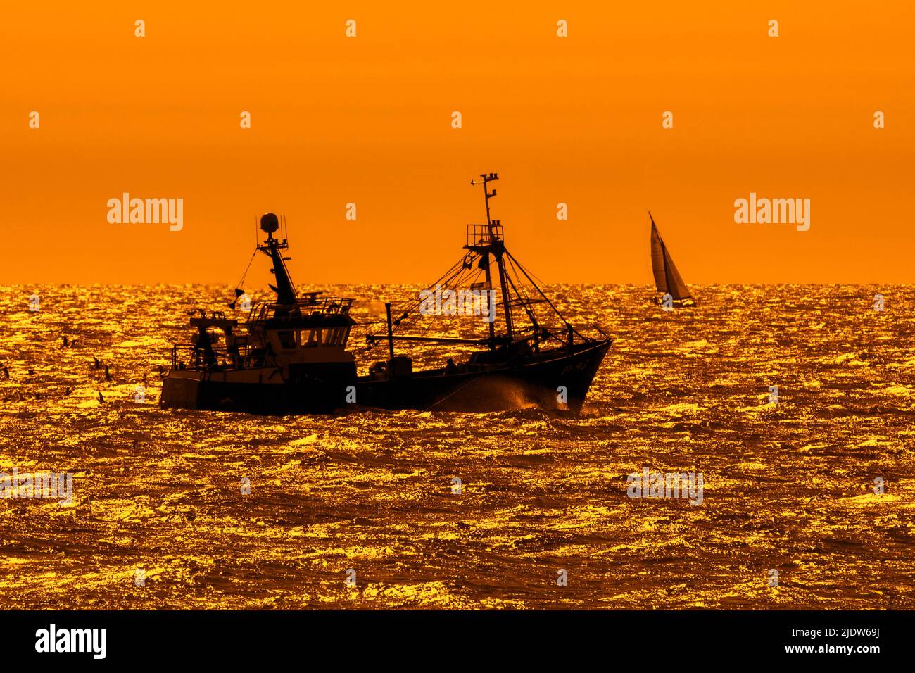 Chalutier de fond, bateau de pêche naviguant le long de la côte de la mer du Nord silhoueté contre le coucher de soleil orange en face de Nieuwpoort / Nieuport, Flandre, Belgique Banque D'Images