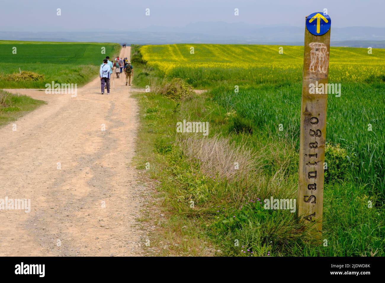 Espagne, district de Rioja. Marqueur de sentier sur le Camino de Santiago approchant Saint-Domingue de la Calzada. Banque D'Images