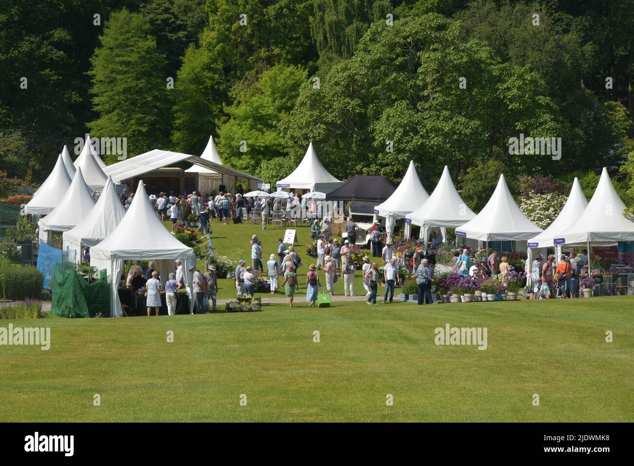 RHS Harlow Carr Gardens, spectacle floral estival 2022, Harrogate, North Yorkshire Banque D'Images