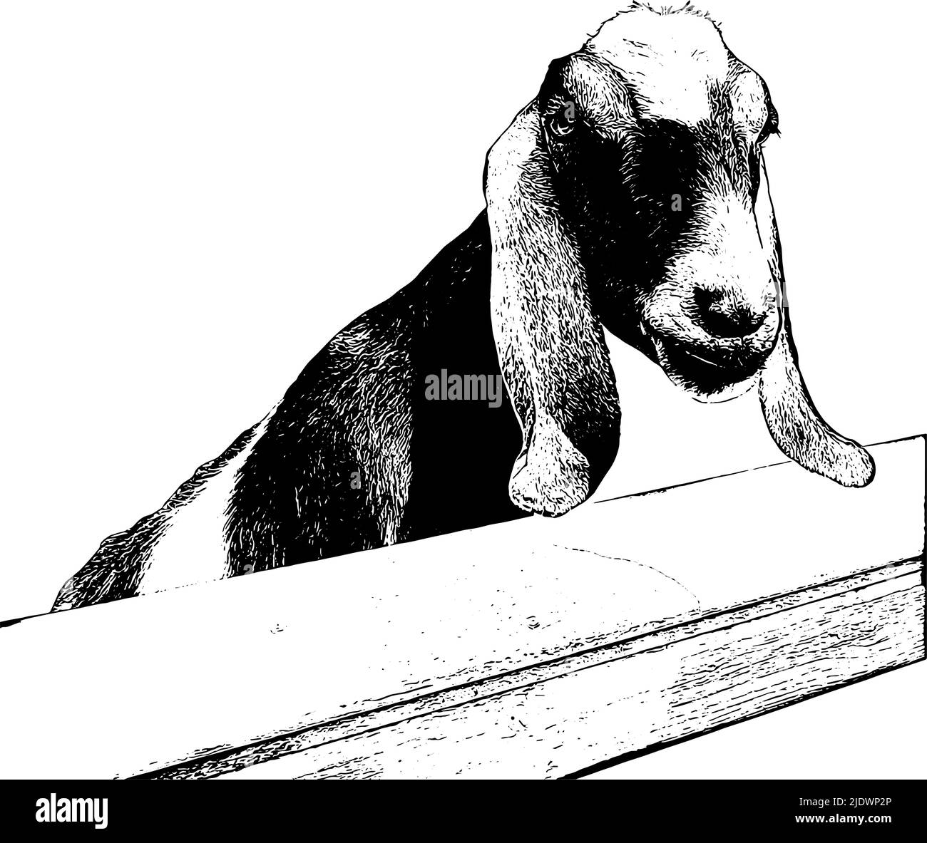 Chèvre dans un zoo pour enfants près d'une clôture Illustration de Vecteur