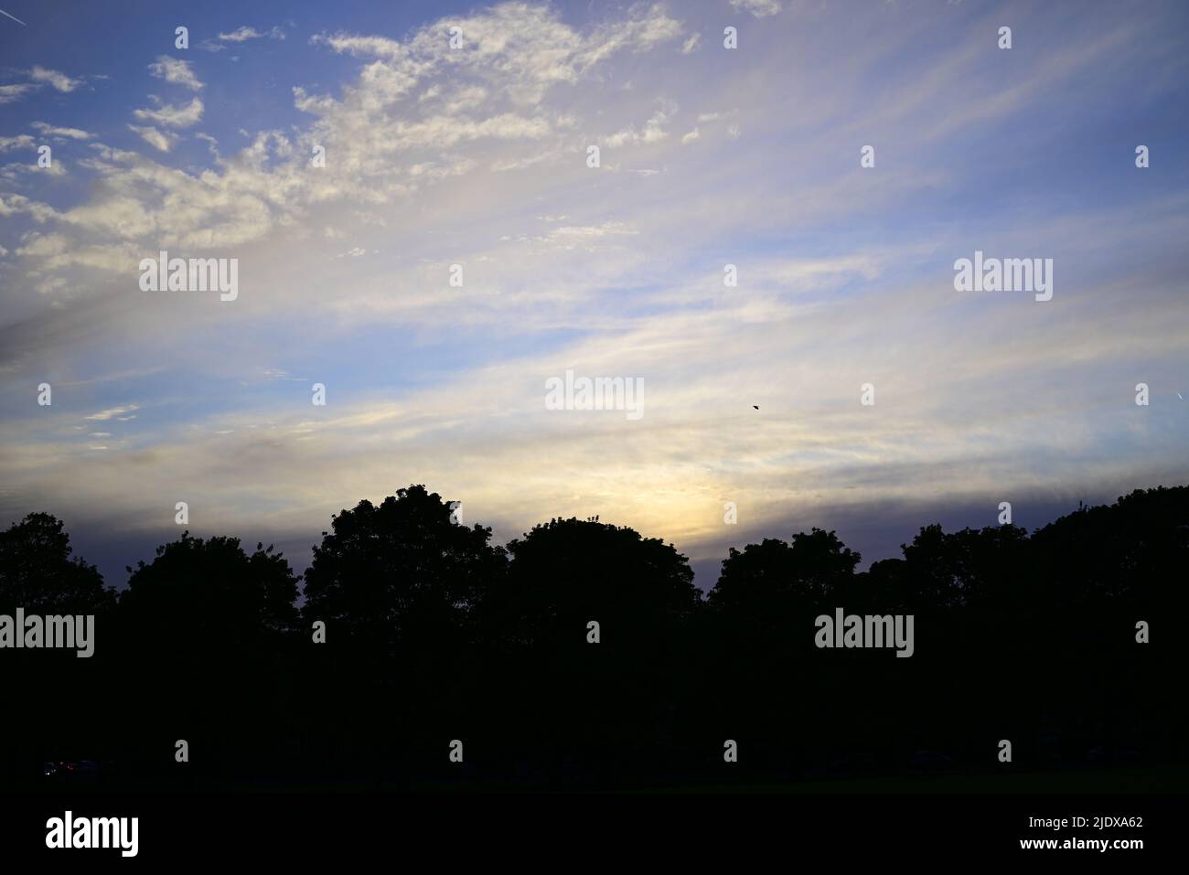 Arbres et ciel à Hyde Park Banque D'Images