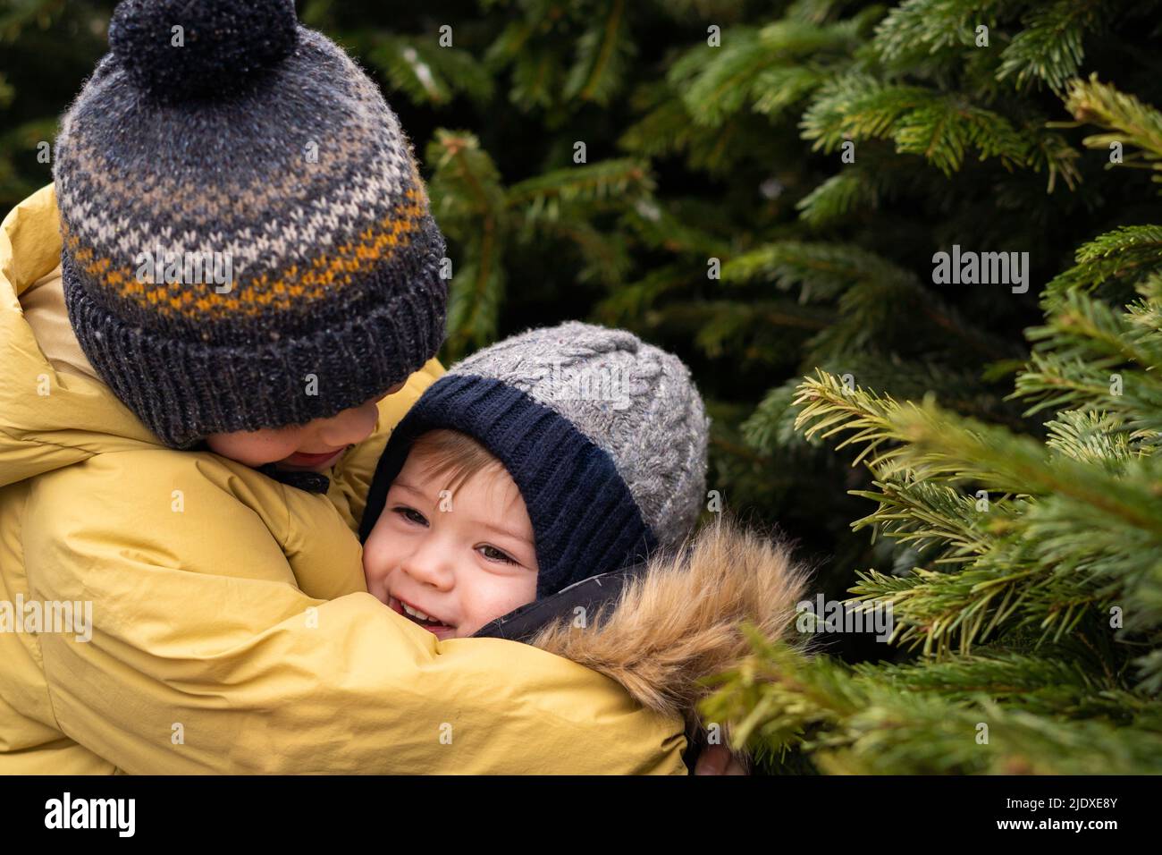 Frères embrassant par arbre de Noël Banque D'Images