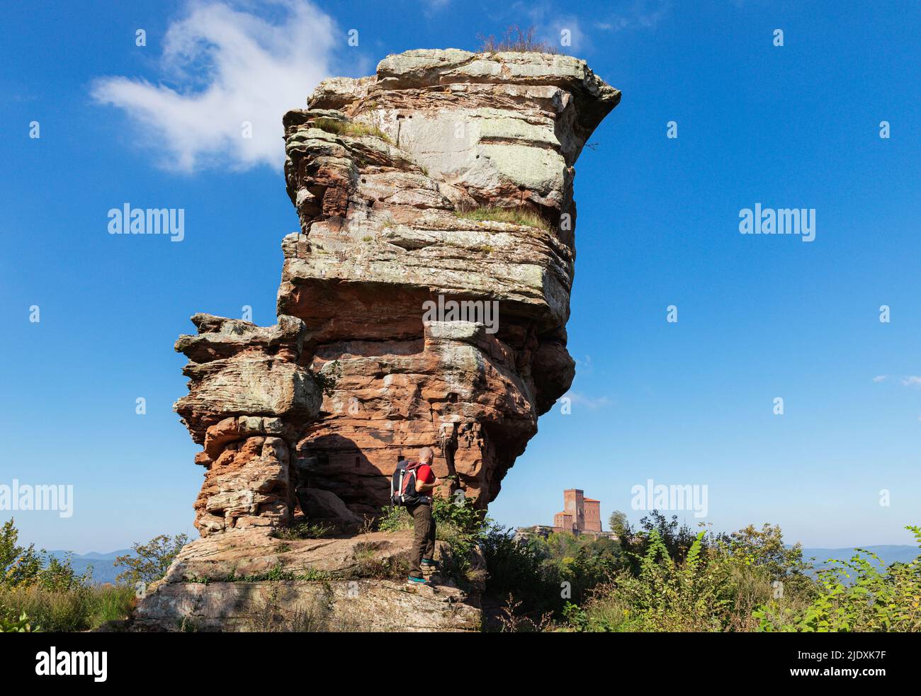 Allemagne, Rhénanie-Palatinat, randonneur senior debout devant la formation de roche de grès dans la forêt du Palatinat avec le château de Trifels en arrière-plan éloigné Banque D'Images