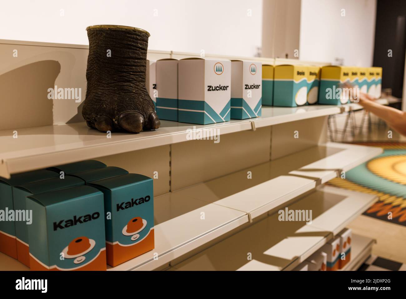 Freiburg im Breisgau, Allemagne. 23rd juin 2022. Avant l'ouverture de l'exposition, le pied d'un éléphant creux se situe entre l'emballage vide illustratif des biens coloniaux, tandis que les armes d'une employée féminine sont visibles en arrière-plan. Dans l'exposition "Freiburg et colonialisme: Hier? Aujourd'hui !', l'Augustinermuseum de Fribourg fera la lumière sur l'histoire coloniale, les connexions de ceux-ci à Fribourg et leurs effets à ce jour, à partir du 6/25/22. Credit: Philipp von Ditfurth/dpa/Alay Live News Banque D'Images