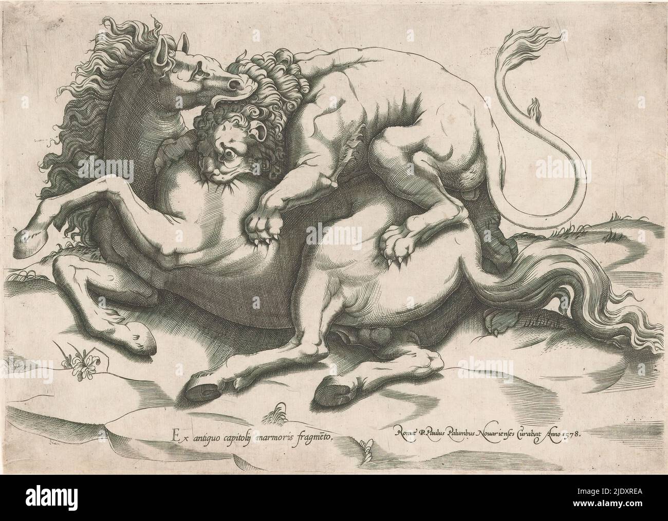 Cheval attaqué par un lion Banque de photographies et d’images à haute