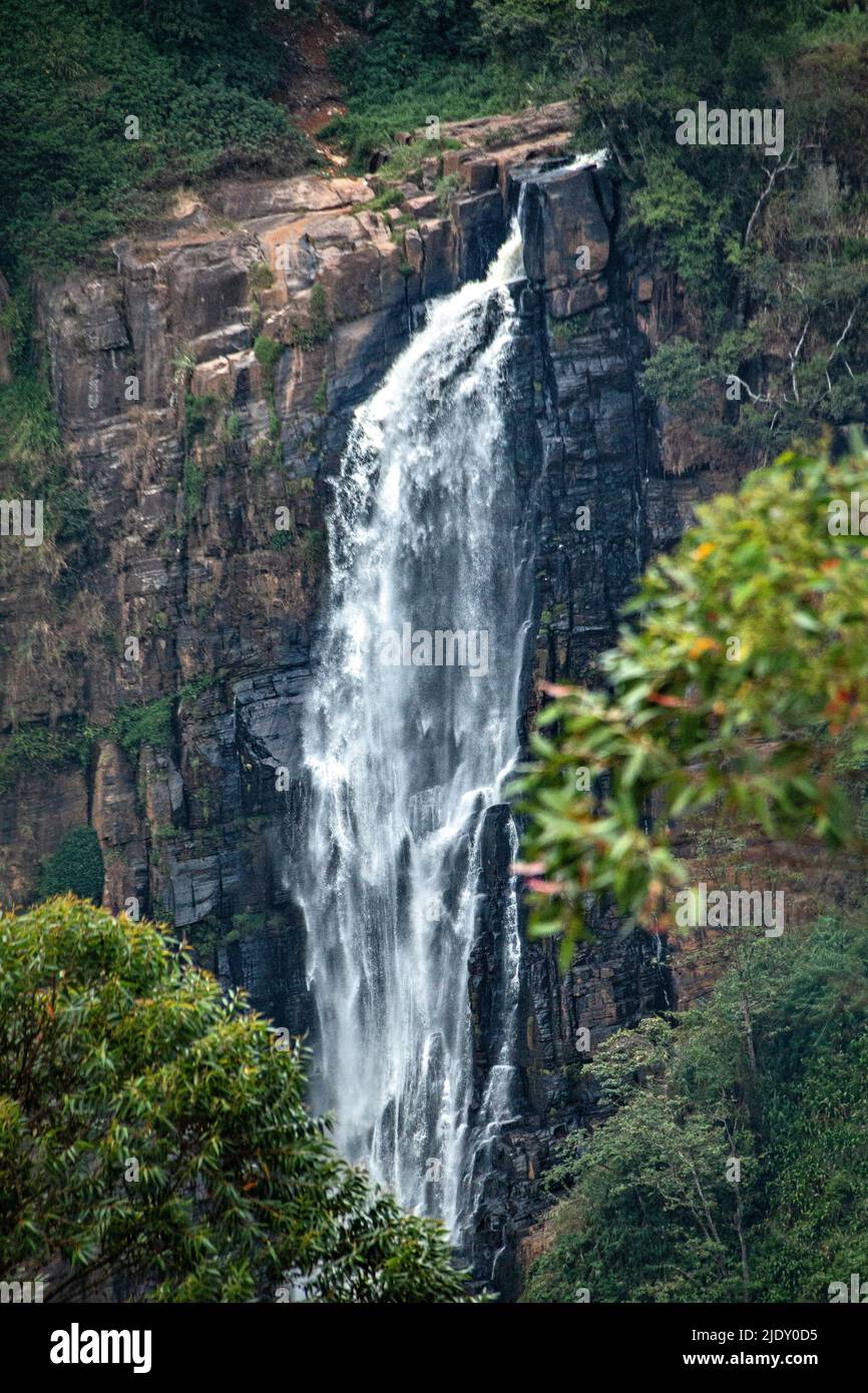 La belle eau tombe au Sri Lanka Banque D'Images
