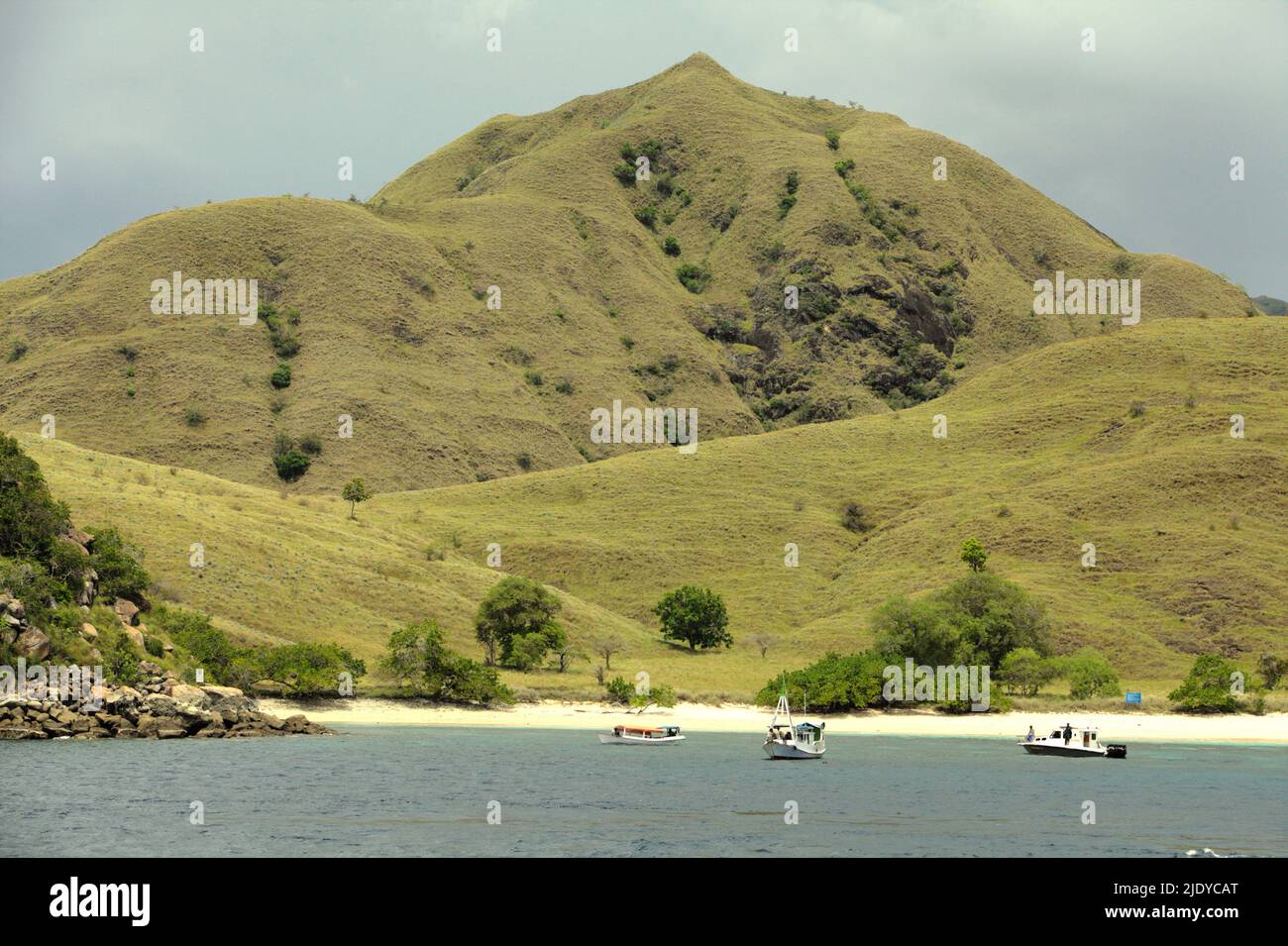 Bateaux touristiques dans un fond d'une plage de sable populairement appelé Pink Beach en raison de ses sables roses et d'une colline couverte de la végétation de savane dans l'île de Komodo dans la région du parc national de Komodo à Komodo, West Manggarai, East Nusa Tenggara, Indonésie. Cette plage pourrait être parmi la moitié des plages de sable dans le monde qui pourraient disparaître d'ici la fin du siècle si le changement climatique continue sans être atténué, comme l'ont rapporté les climatologues dans leur publication de mars 2020 sur le changement climatique de la nature. Banque D'Images