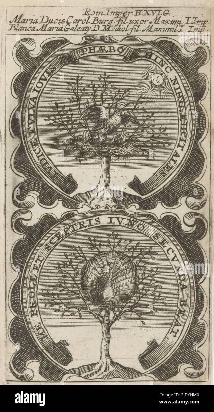 Arbre avec pélican / arbre et paon, judice Fulua Jovis Phaebo Hinc Nihil Eicice Ales / Me Prole et Sceptris Juno Secunda Beat (titre sur objet), Symbola Divina et Humana Pontificum Imperatorum Regum (titre de la série), un emblème avec deux représentations. Au-dessus d'un arbre avec un pélican. Au-dessus d'un arbre avec un paon. Ce sont des mottos de Marie de Bourgogne et de Bianca Maria Sforza, la première et la deuxième femme de l'empereur Maximilian I., imprimerie: Anonyme, après impression par: Aegidius Sadeler (II), 1666, papier, gravure, impression typographique, hauteur 117 mm × largeur 65 mm Banque D'Images