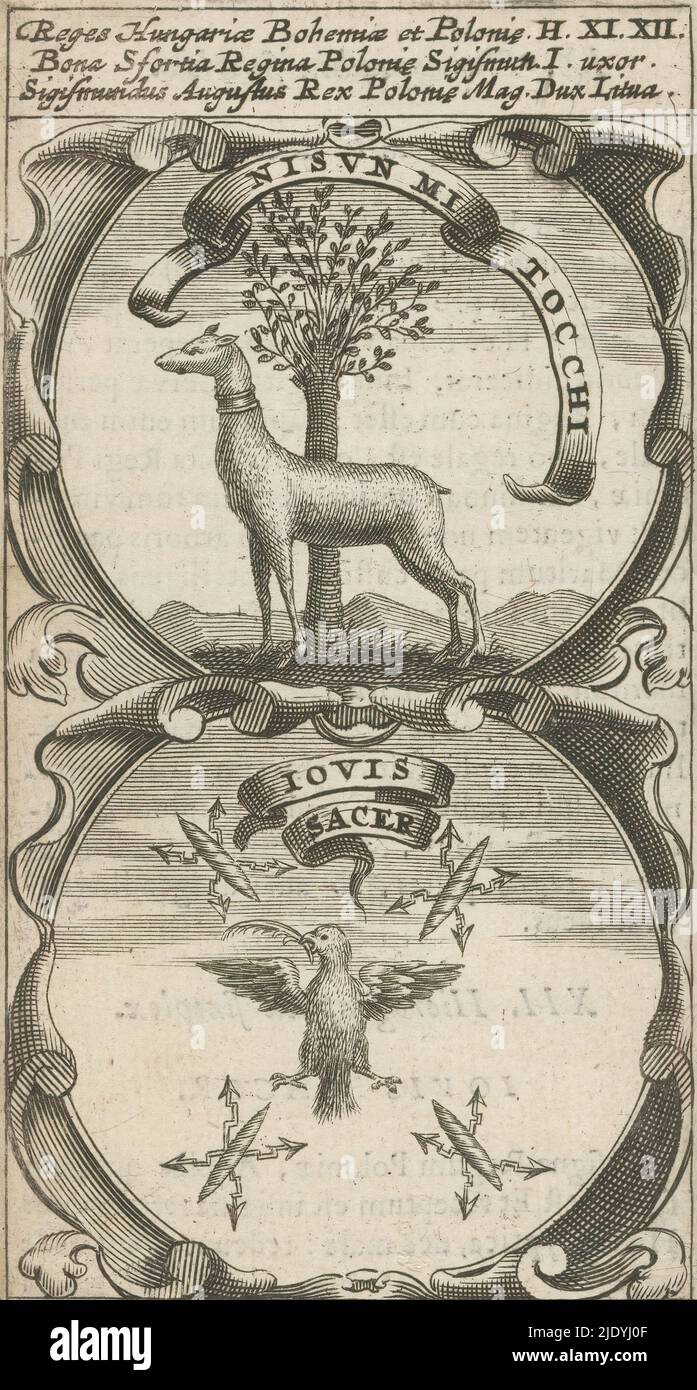 Chien près d'un arbre / oiseau de proie avec branche de palmier entouré par des éclairs, Nisun mi Tocchi / Jovis Sacer (titre sur objet), Symbola Divina et Humana Pontificum Imperatorum Regum (titre de série), un emblème avec deux représentations. Au-dessus d'un chien devant un arbre. Au-dessous d'un oiseau de proie avec une branche de plume ou de paume et autour de lui quatre éclairs de Jupiter. Ce sont des mottos de Bona Sforza, épouse de Sigismund I de Pologne, et Sigismund II Augustus., imprimerie: Anonyme, après impression par: Aegidius Sadeler (II), 1666, papier, gravure, impression typographique, hauteur 116 mm × largeur 64 mm Banque D'Images