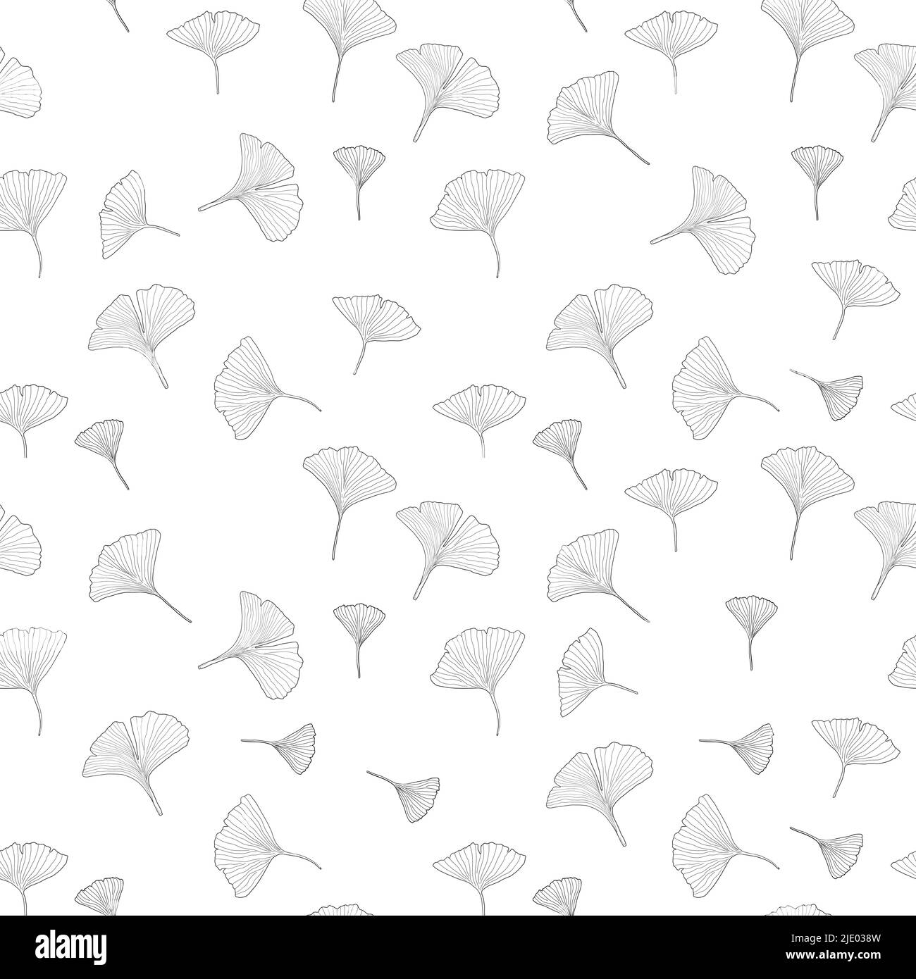 Motif de dessin vectoriel Ginkgo sans couture. Ginkgo feuilles Doodle mode noir blanc texture. Illustration de Vecteur