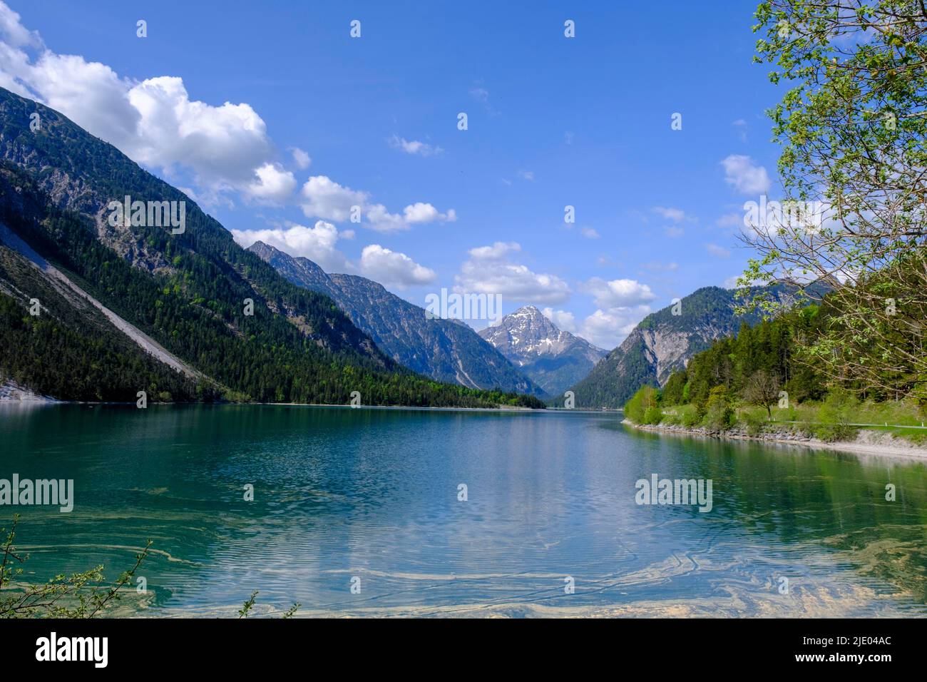 Plansee, près de Reutte, Tyrol, Autriche Banque D'Images