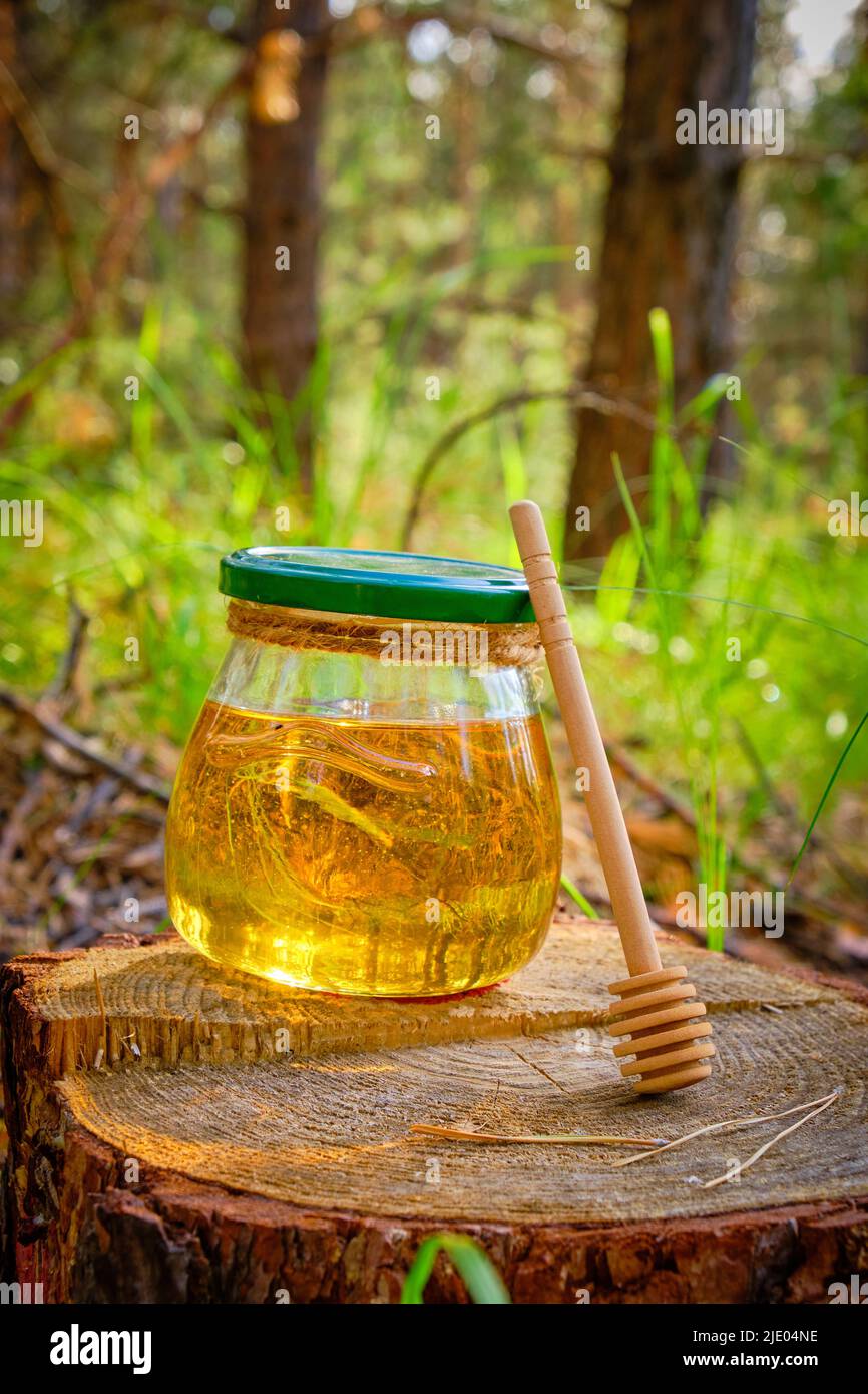 Mettre le miel et la cuillère pour le miel dans la forêt sur la souche Banque D'Images