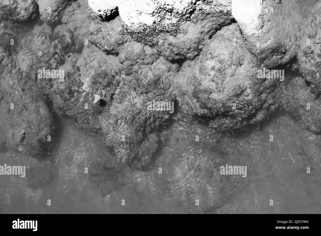 Le rivage rocheux le long d'un étang avec de l'eau claire et fraîche en noir et blanc. Banque D'Images