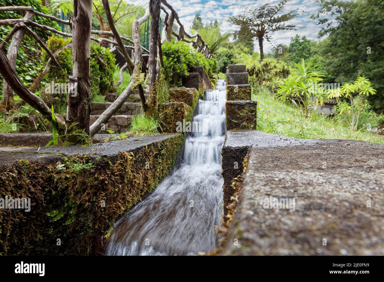 Levada, conduite d'eau, clôture, Ribeiro Frio, subtropical, Forêt, Madère, région officiellement autonome de Madère, île, archipel Macaronesia Banque D'Images