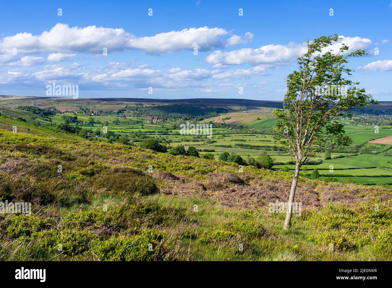 North York Moors et vue sur les champs verts terres agricoles et landes de Blakey Ridge North York Moors parc national North Yorkshire Angleterre Royaume-Uni GB Europe Banque D'Images