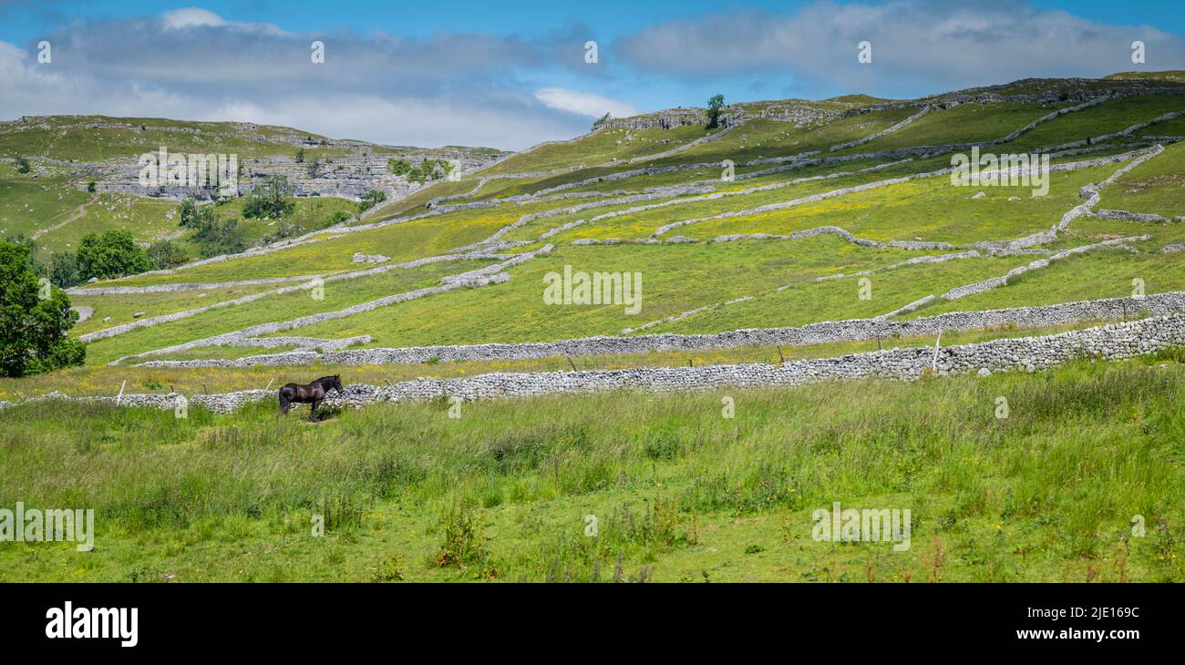 Point de vue panoramique de Malham présentant les enceintes murales en pierre sèche, Yorkshire Dales, Royaume-Uni. Banque D'Images