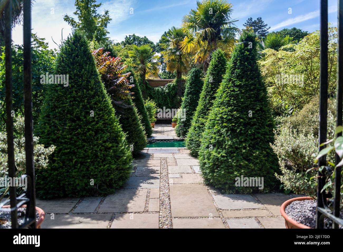 Jardin formel avec arbres topiaires, RHS Wisley Garden, Surrey, Angleterre, Royaume-Uni Banque D'Images