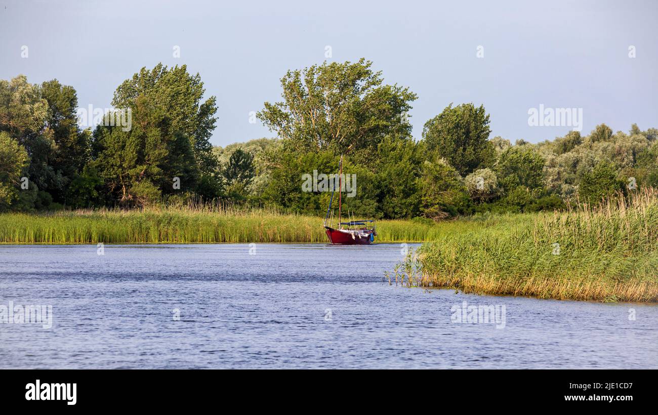 Image d'un yacht rouge naviguant le long de la rive de la rivière Reed Banque D'Images