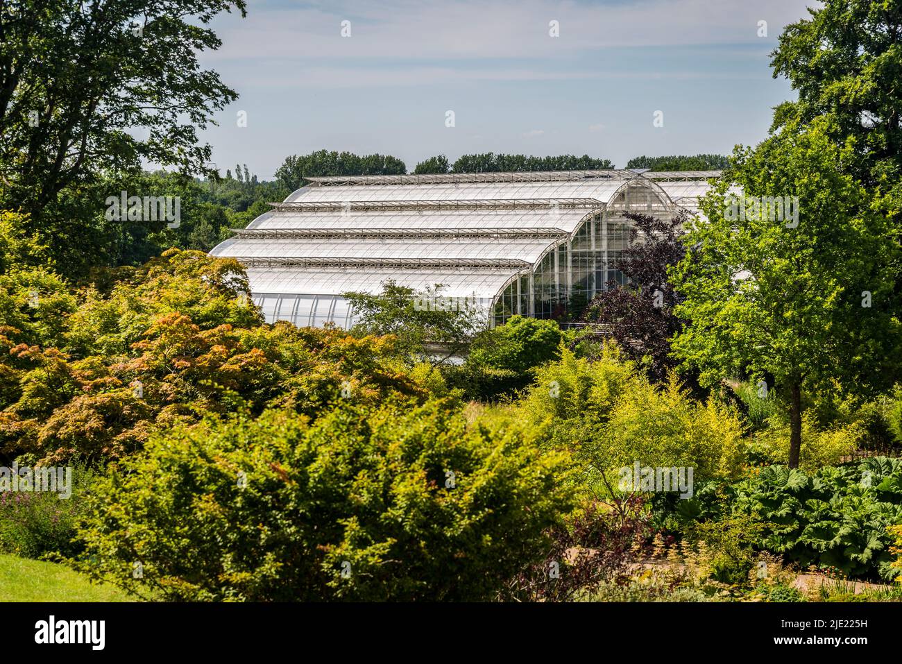 The Glasshouse, RHS Wisley Gardens, Surrey, Angleterre, Royaume-Uni Banque D'Images