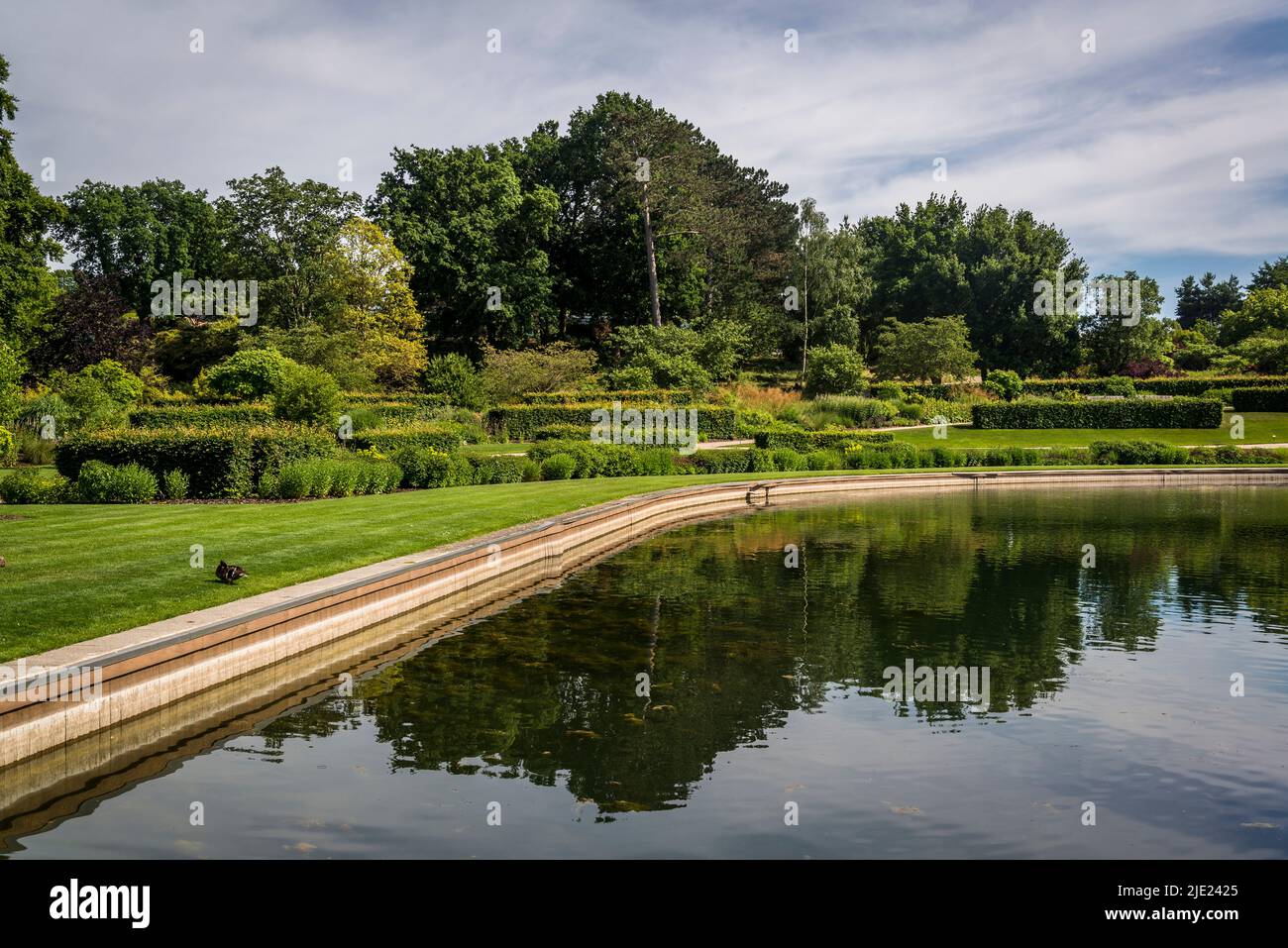 Glasshouse Pond, RHS Wisley Gardens, Surrey, Angleterre, Royaume-Uni Banque D'Images