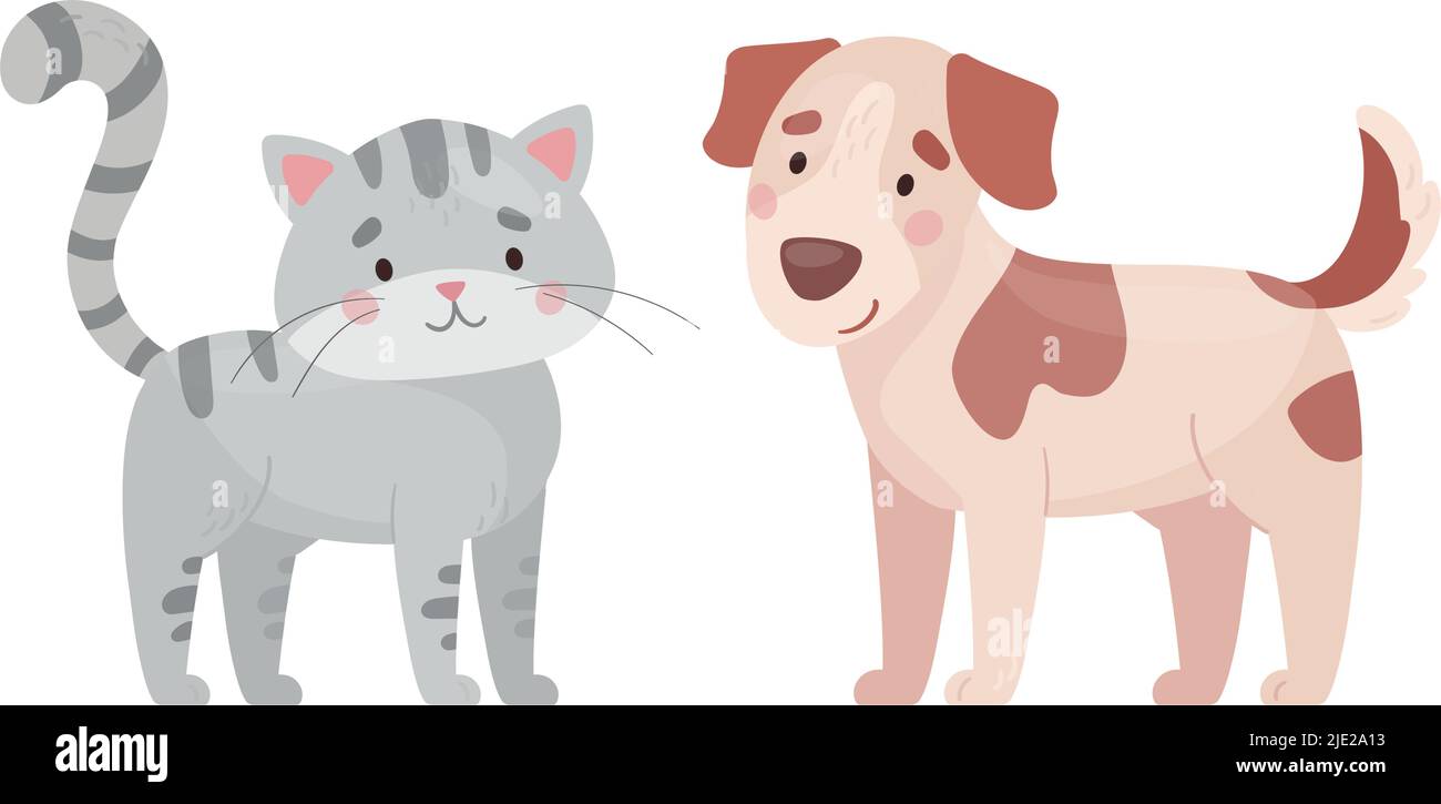 Petit Chat Tachete Banque D Images Detourees Alamy