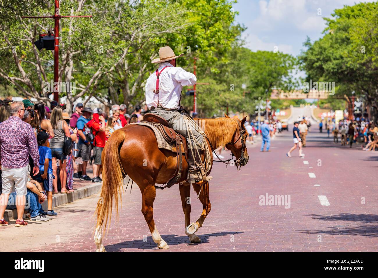 Texas, 18 2022 JUIN - Cowboy attend le spectacle Cattle Drive Banque D'Images