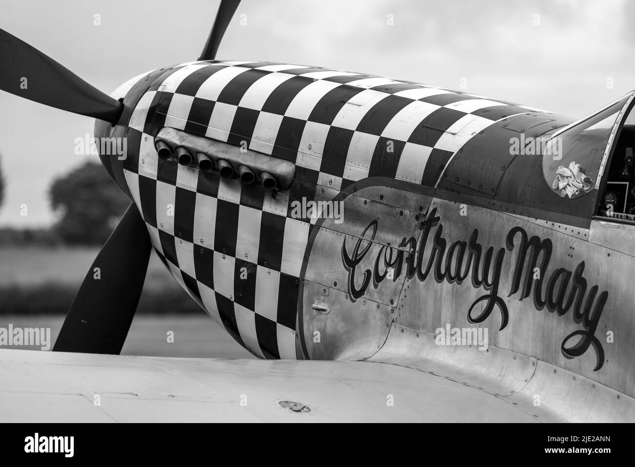 Amérique du Nord TF51D Mustang «contrefait Mary» (G-TFDSI) sur la ligne aérienne au Shuttleworth Evening Airshow qui a eu lieu le 18th juin 2022 Banque D'Images