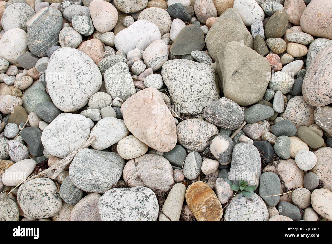 Photo unique du parc provincial Arches à terre-neuve Banque D'Images