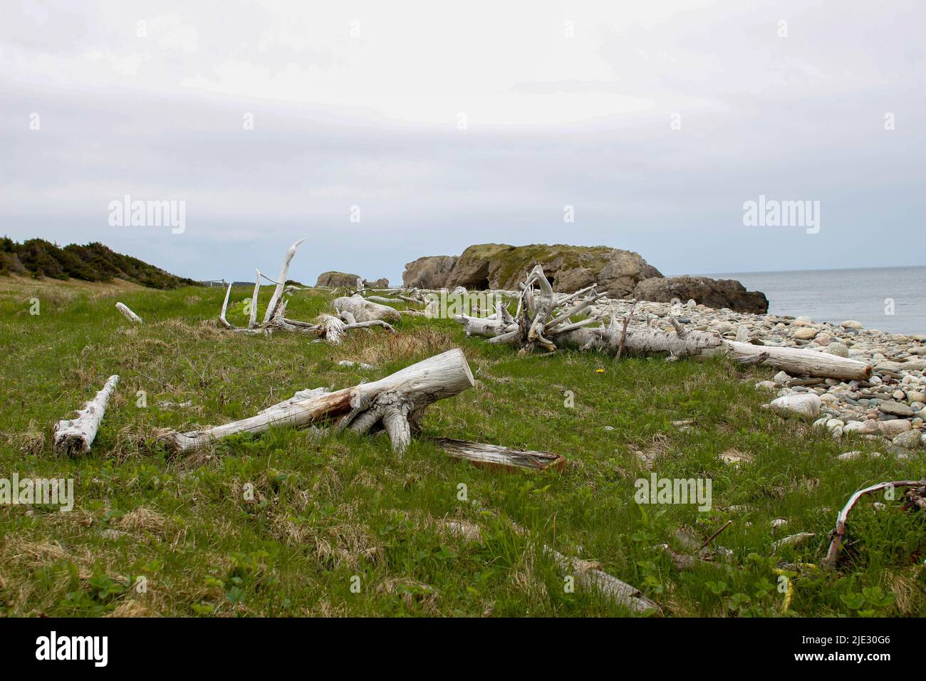 Photo unique du parc provincial Arches à terre-neuve Banque D'Images