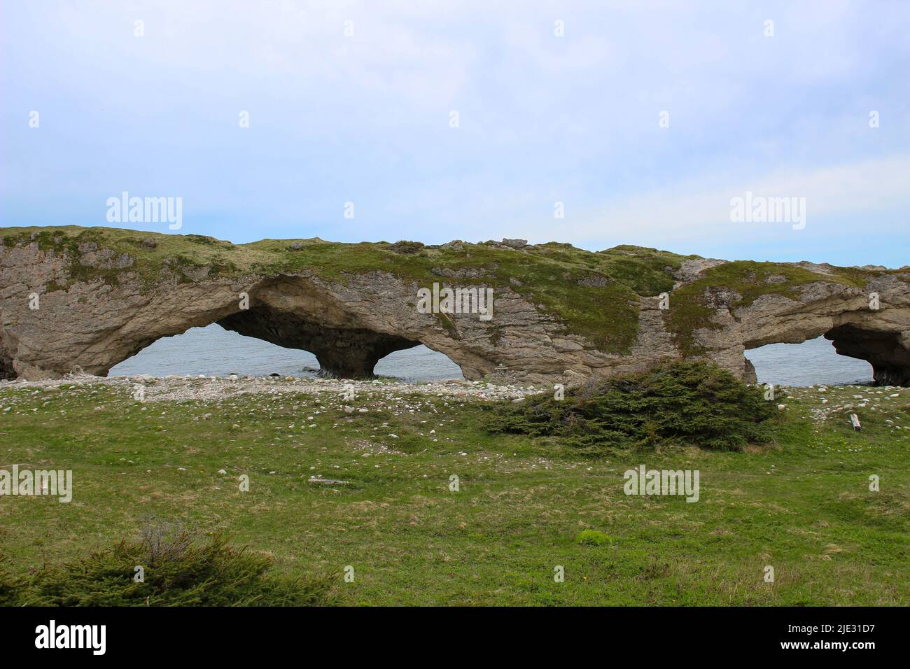 Photo unique du parc provincial Arches à terre-neuve Banque D'Images
