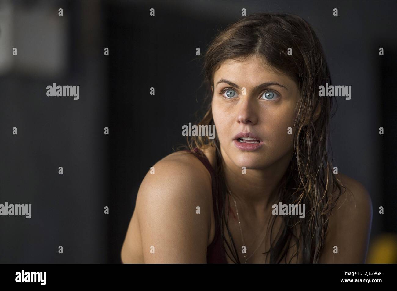 ALEXANDRA DADDARIO, SAN ANDREAS, 2015 Banque D'Images