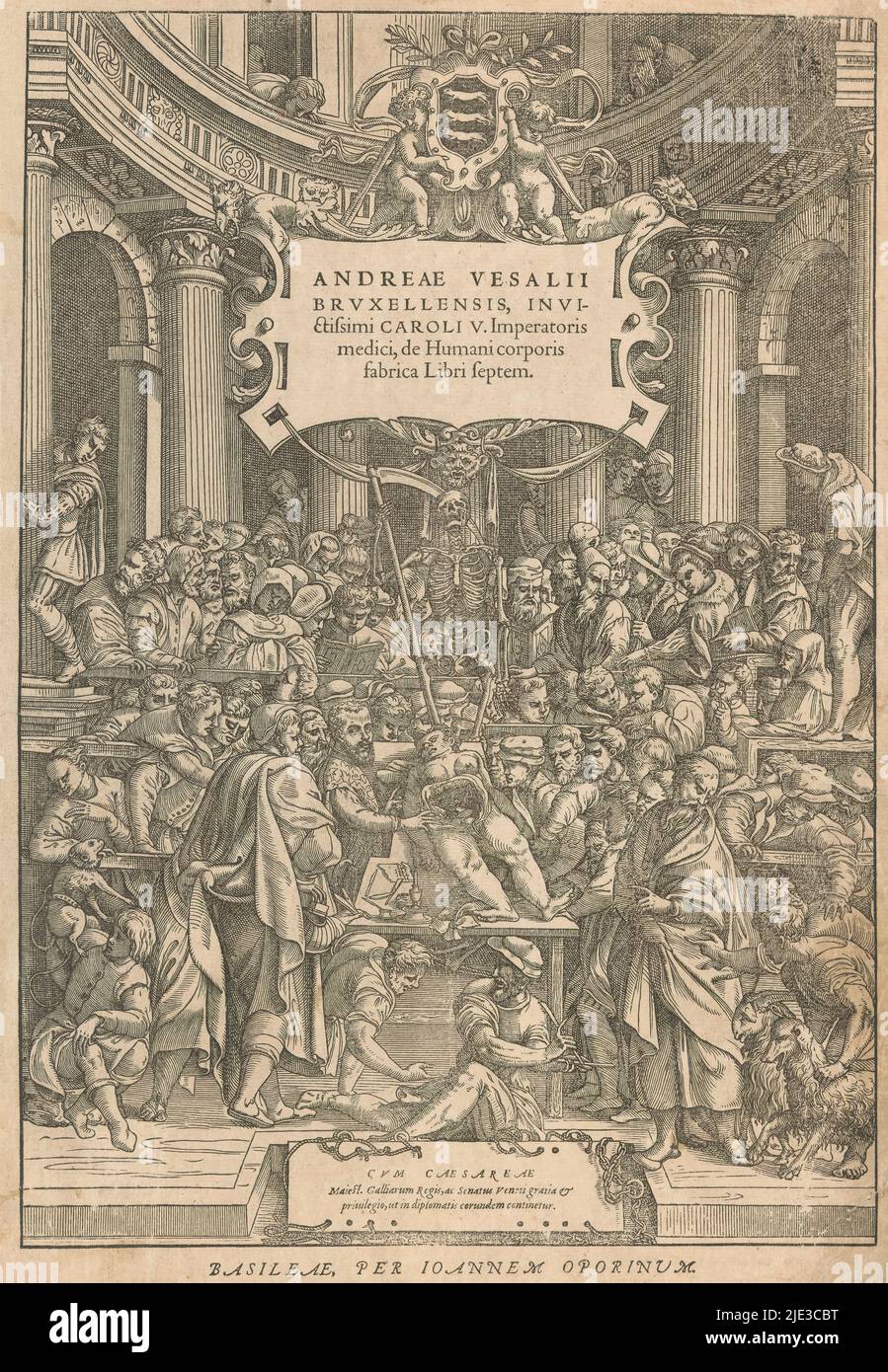 Théâtre anatomique, Andreae Vesalii Bruxellensis, invencitissimi Caroli V. Imperatoris medici, de Humani corporis fabrica Libri septem (titre sur objet), page de titre pour: Andreas Vesalius, de humani corporis fabrica, 1555, un théâtre anatomique avec une dissection d'un corps humain au premier plan., Imprimeur: Anonyme, après conception: Jan Stefan van Calcar, éditeur: Johannes Oporinus, (mentionné sur l'objet), Bazel, 1555, papier, hauteur 370 mm × largeur 256 mm Banque D'Images