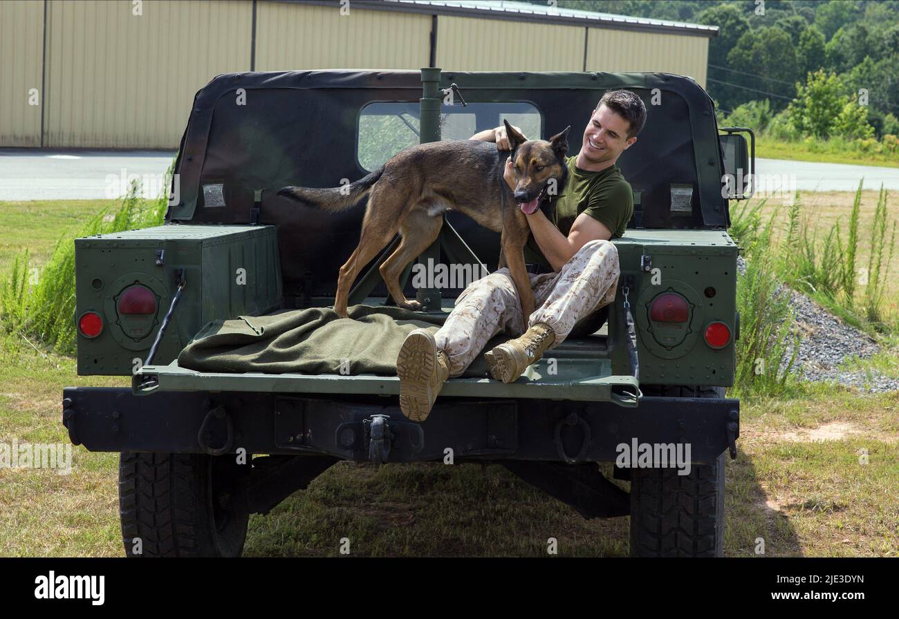 ROBBIE AMELL, MAX, 2015 Banque D'Images