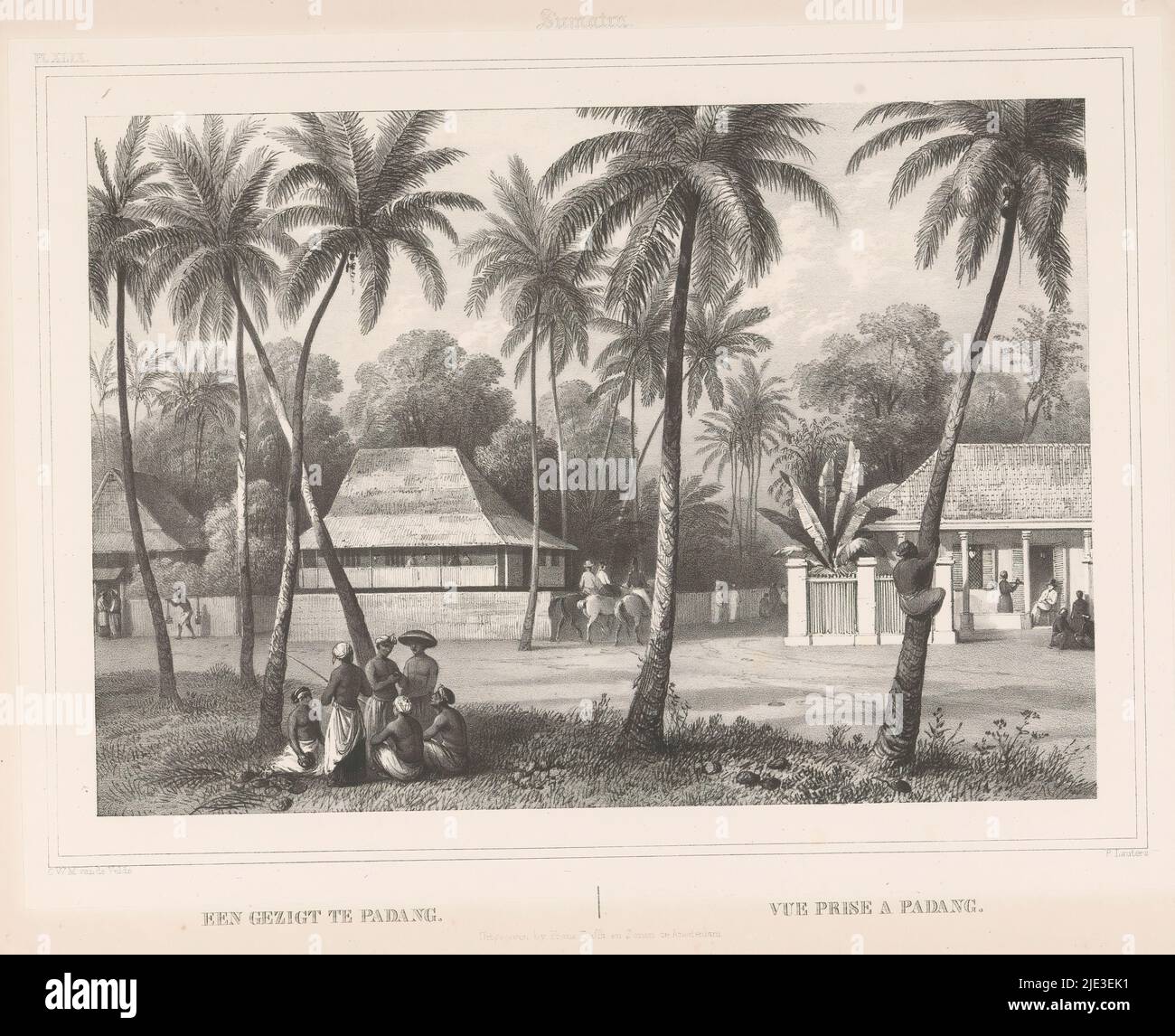 Rue et maisons à Padang, Une vue à Padang (titre sur objet), Sumatra (titre de série sur objet), Gezigten uit Neêrlands Indië (titre de série sur objet), entre les arbres les hommes se tiennent et s'assoient ensemble. Sur la droite, un homme escalade un palmier. Numéroté en haut à gauche : PL. XLIX. L'imprimé fait partie d'une couverture de sept pages., imprimerie: Paulus Lauters, (mentionné sur l'objet), après conception par: Charles William Meredith van de Velde, (mentionné sur l'objet), imprimeur: Frans Buffa en Zonen, (mentionné sur l'objet), imprimerie: Bruxelles, après conception par: Indonésie, imprimeur: Amsterdam, 1843 - 1845, hauteur du papier, 51 Banque D'Images