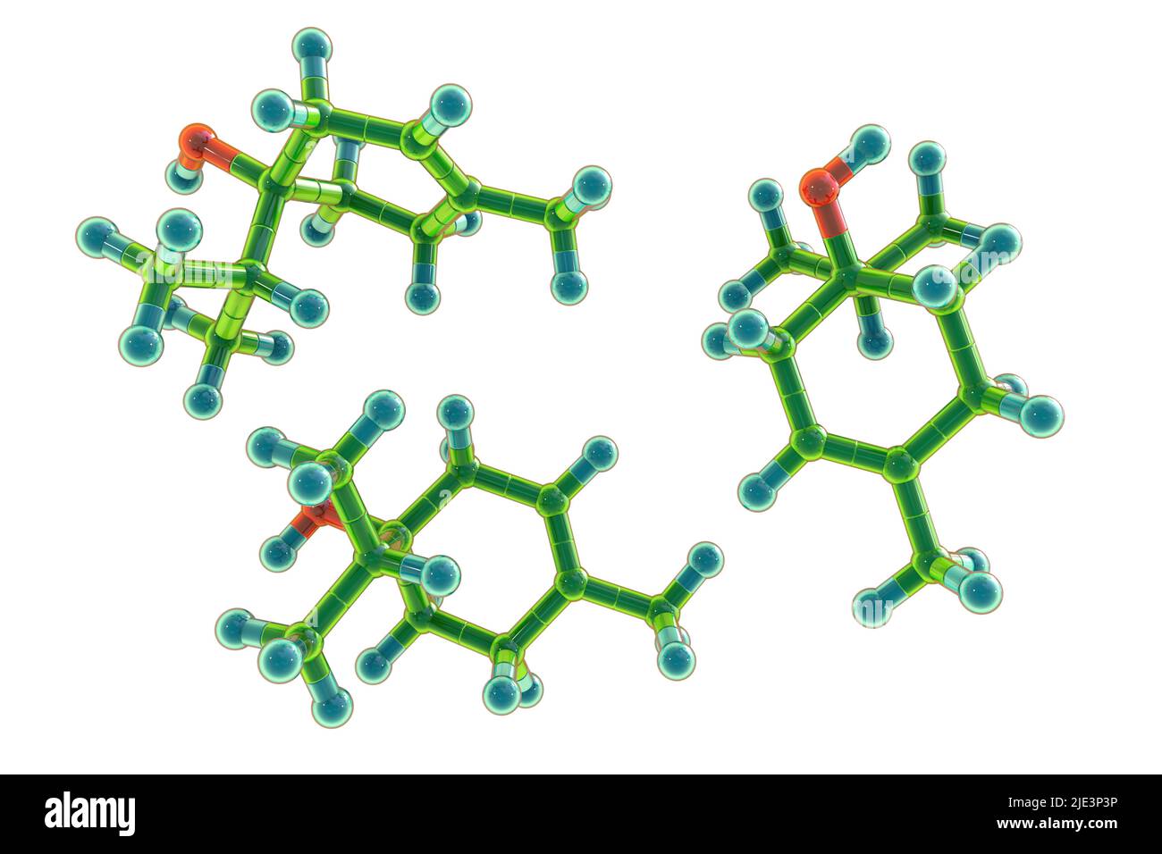 Molécule de Terpinen-4-ol, illustration. Un composé organique naturellement présent dans l'huile d'arbre à thé, l'huile de lavande, l'huile de thym et d'autres huiles essentielles, a des propriétés antiseptiques. Banque D'Images