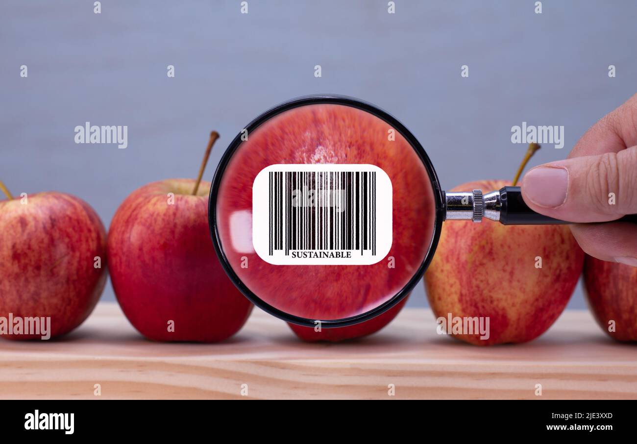 Étiquette de code-barres durable sur pomme magnifiée par loupe, impact environnemental de l'étiquette de durabilité des clients alimentaires sur les aliments Banque D'Images