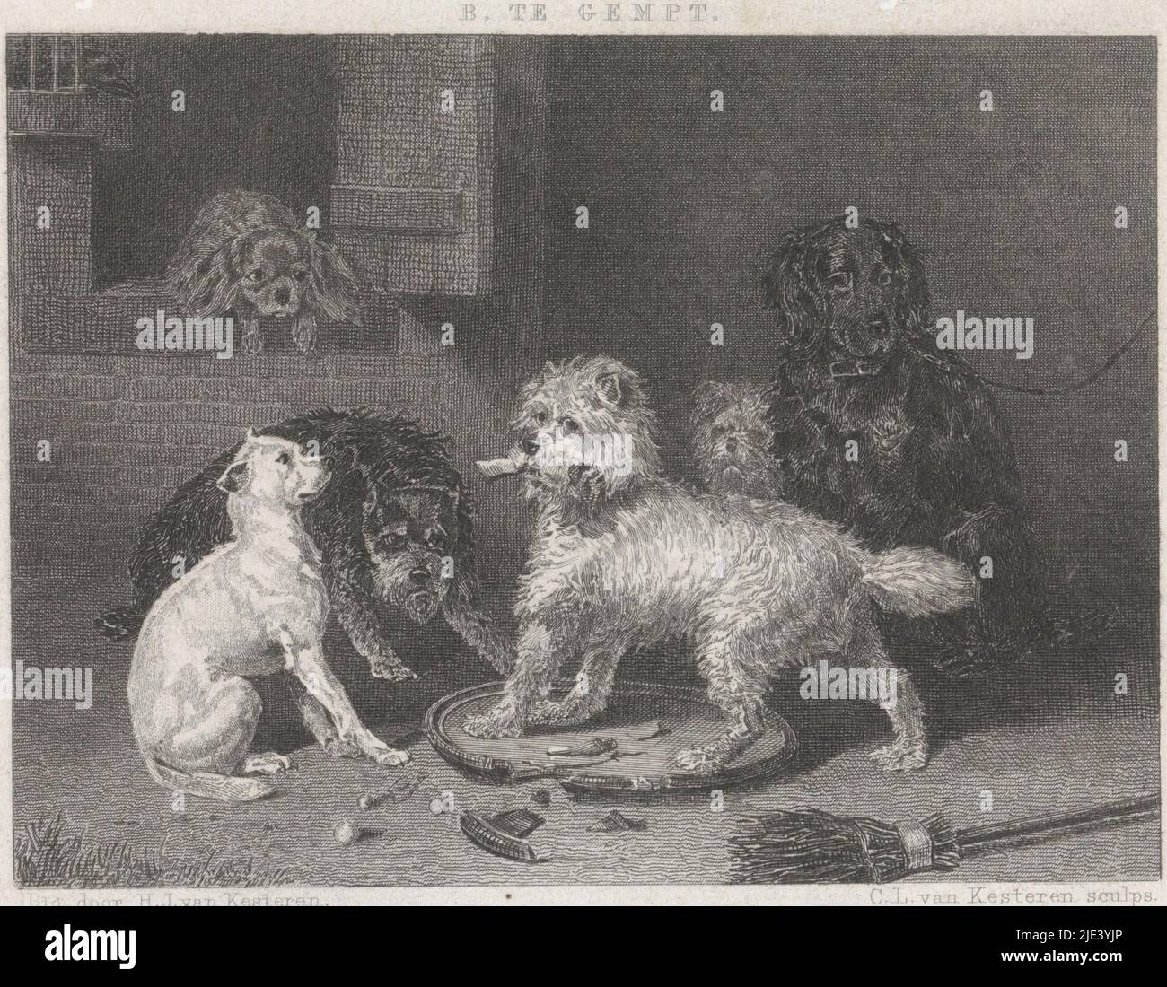 Plusieurs chiens près d'un mur, Christiaan Lodewijk van Kesteren, après Bernard te Gempt, 1886 - 1897, six chiens devant une maison. Le cavalier King Charles est dans la fenêtre et au milieu est un chien blanc sur un plateau, imprimerie: Christiaan Lodewijk van Kesteren, (mentionné sur l'objet), Bernard te Gempt, (mentionné sur l'objet), éditeur: H.J. van Kesteren, (mentionné sur l'objet), Amsterdam, 1886 - 1897, papier, gravure, gravure, h 108 mm × l 184 mm Banque D'Images