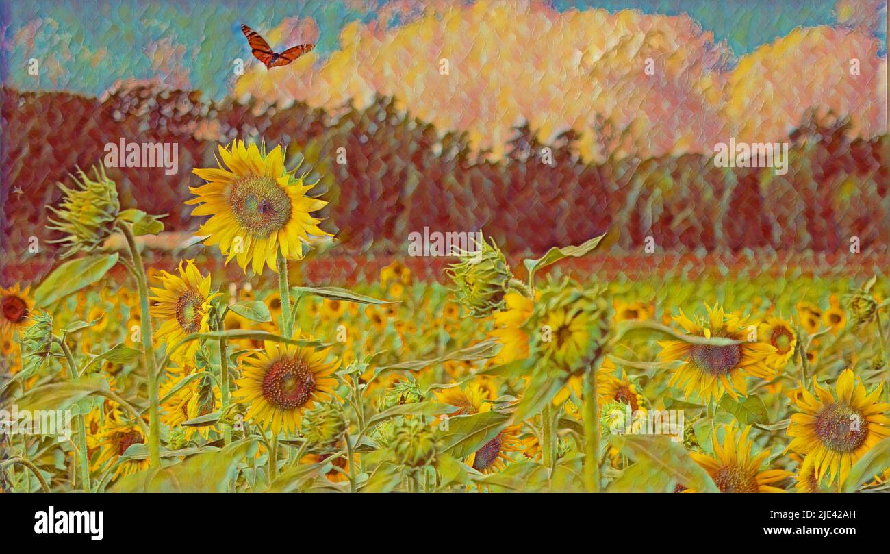 Image peinte d'un champ de tournesol, avec un papillon monarque en mouvement. En arrière-plan se trouve une ligne d'arbres d'arbres à feuilles persistantes, avec un ciel bleu et une cl moelleuse Banque D'Images