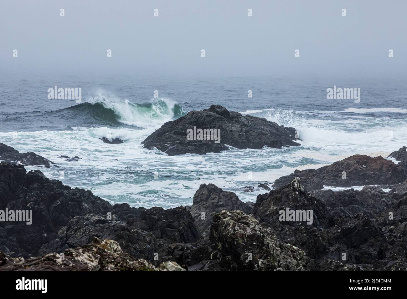 L'océan Pacifique et la côte de l'île de Vancouver, près d'Ucluelet, C.-B., Canada. Banque D'Images