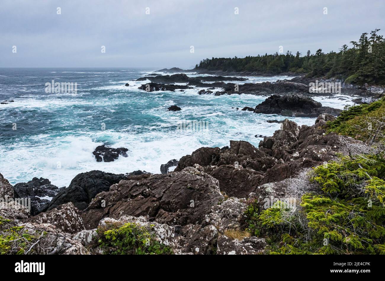 L'océan Pacifique et la côte de l'île de Vancouver, près d'Ucluelet, C.-B., Canada. Banque D'Images