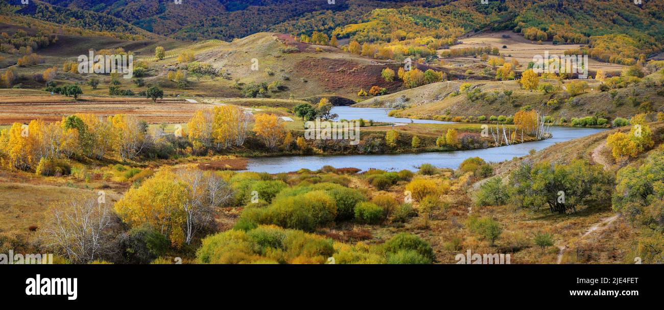 Système en Mongolie intérieure hexigten WuLanBu herbage Abraham barrage Beijing jardin paysage plantes Banque D'Images