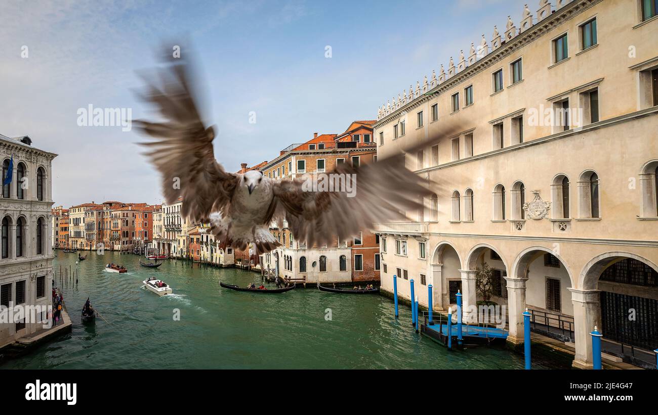 Venise style unique de bobinage en plus d'ouvrir la porte pour voir le monde de l'eau du patrimoine naturel et culturel en travers Banque D'Images