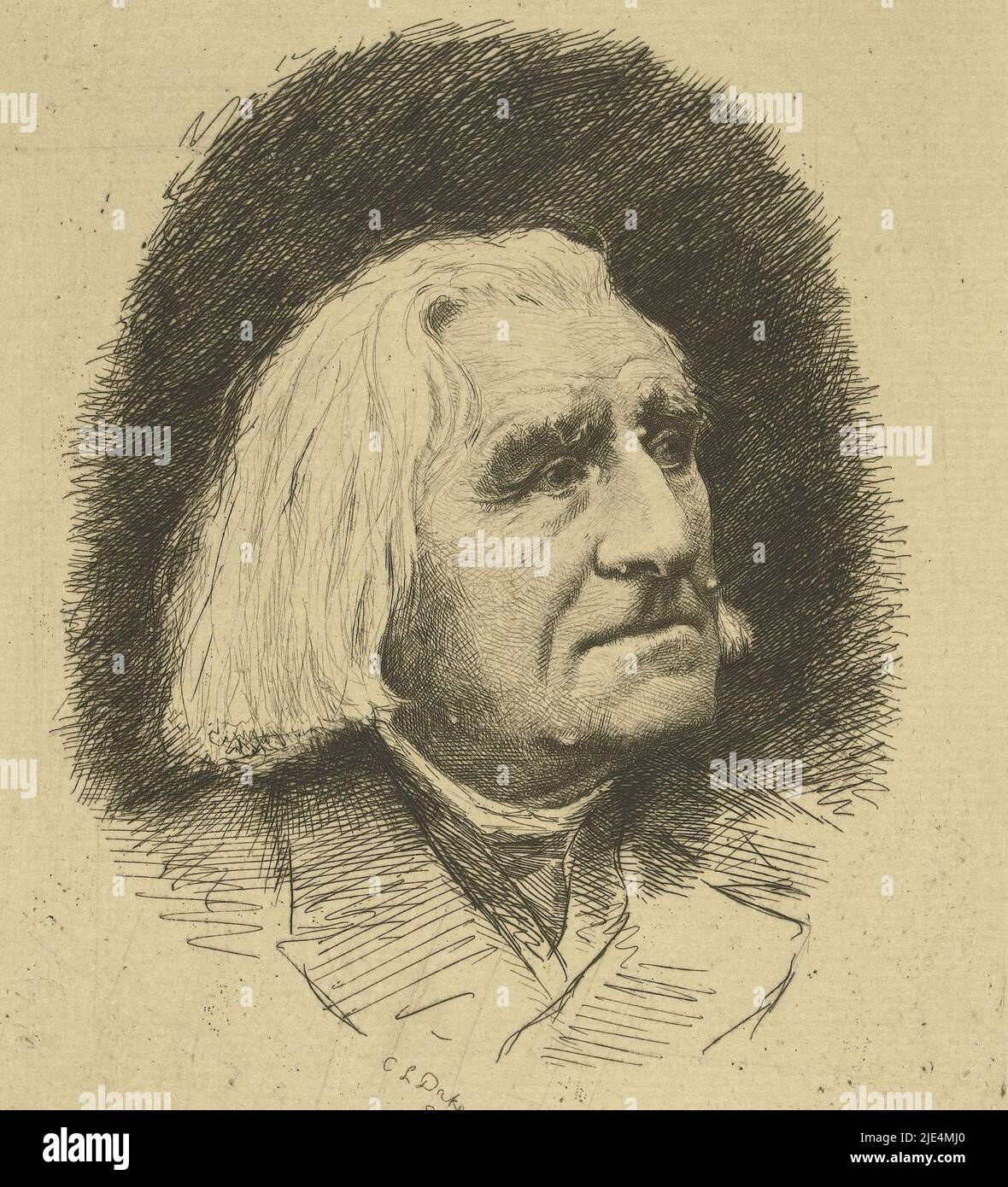 Portrait du compositeur Franz Liszt, Carel Lodewijk Dake, 1886, imprimerie: Carel Lodewijk Dake, (mentionné sur l'objet), Amsterdam, 1886, papier, gravure, h 200 mm - l 139 mm Banque D'Images