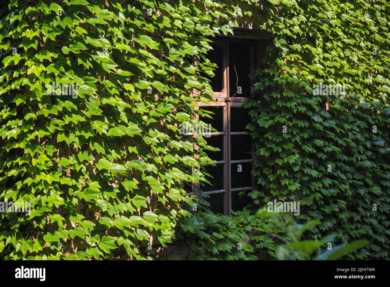 Zhejiang zhoushan shengsi son île pas un village Banque D'Images