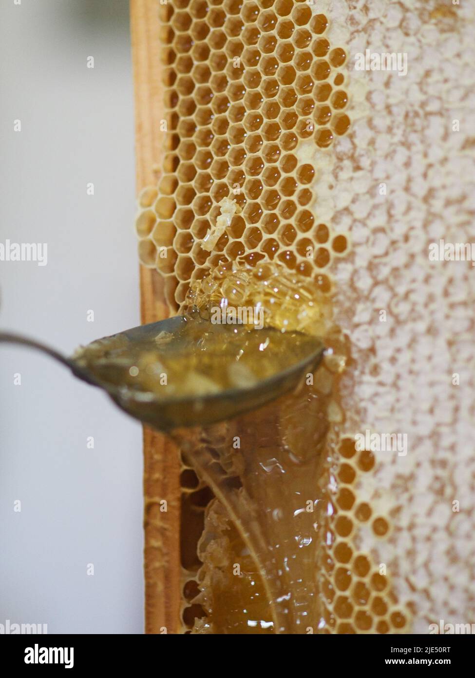 Le miel brut naturel étant filtré ad dripped à travers un tamis pour filtrer  la cire de nos abeilles Photo Stock - Alamy