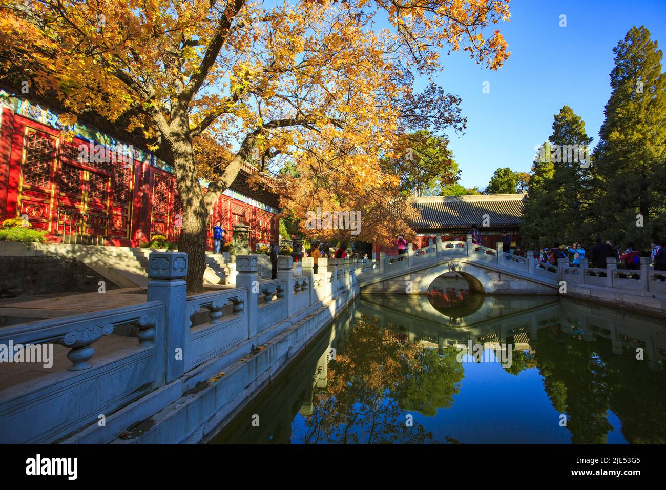 Pékin le parc xiangshan automne soleil Banque D'Images