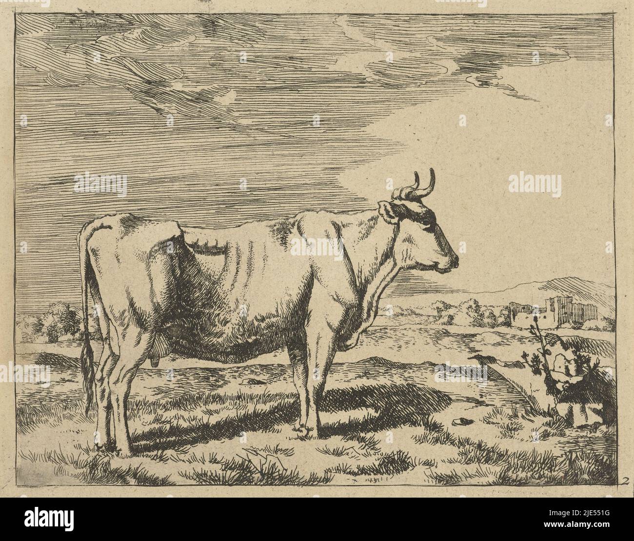 Vache debout, et vaches et moutons de profil (titre de série), imprimeur: Marcus de Bye, Paulus Potter, la Haye, 1657 - c. 1677 et/ou 1728 - c. 1761, papier, gravure, h 119 mm × l 149 mm Banque D'Images