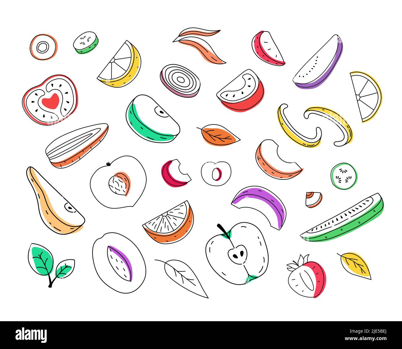 Ensemble de fruits et légumes coupés dessinés à la main. Illustration Doodle Illustration de Vecteur