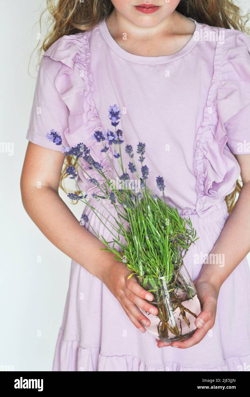 Jeune fille dans une robe de lavande pâle tenant un pot contenant des fleurs fraîchement cueillies de lavande sur un fond blanc Banque D'Images